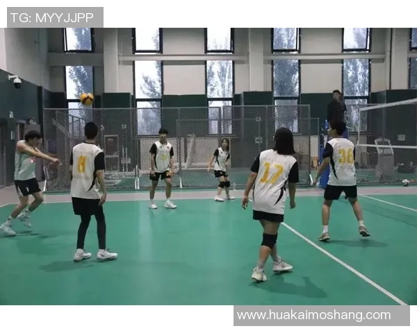 排球盛宴：深入了解西安排球队的团队协作与默契配合之道