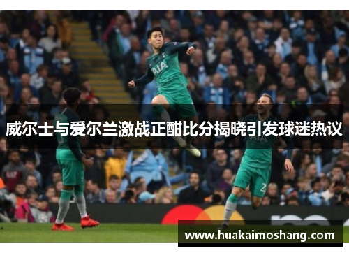 威尔士与爱尔兰激战正酣比分揭晓引发球迷热议